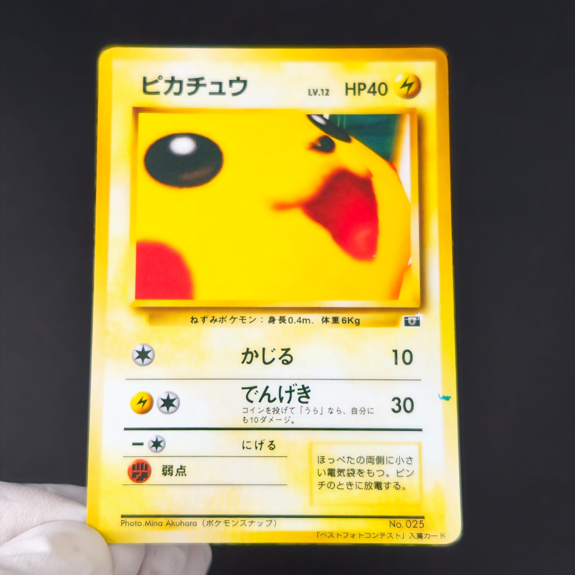 10PCS Pokemon Vintage Jongen B - Vintage Pokemon Collectible recensie en prijs
